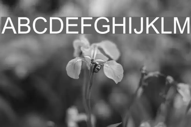 Yudit JB Font examples