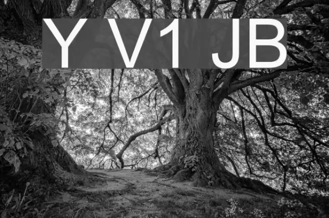 Yudit V1 JB Font examples