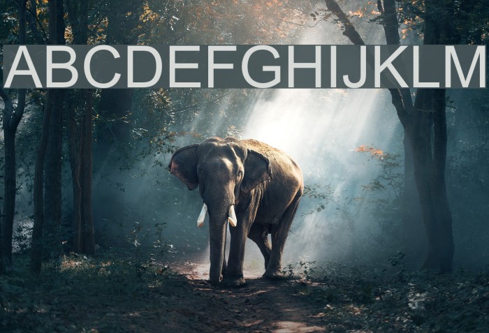 Yudit V1 Font examples