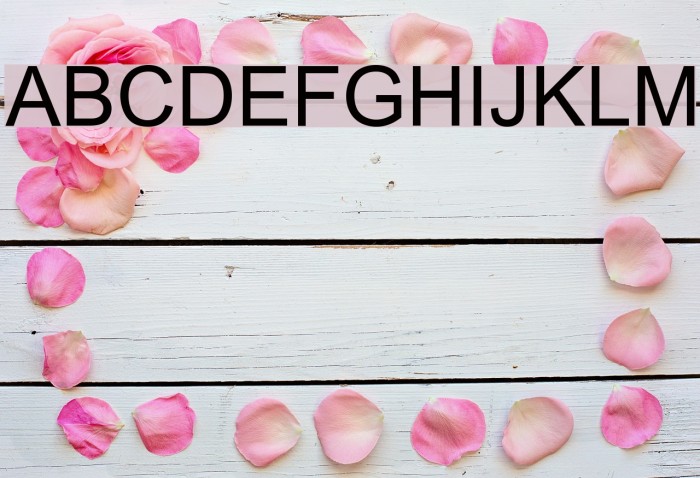Yudit Font examples