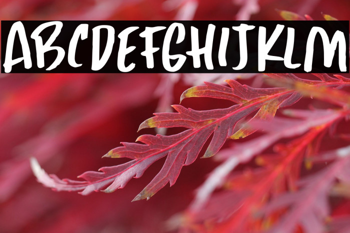 Yuge DEMO Regular Example 2