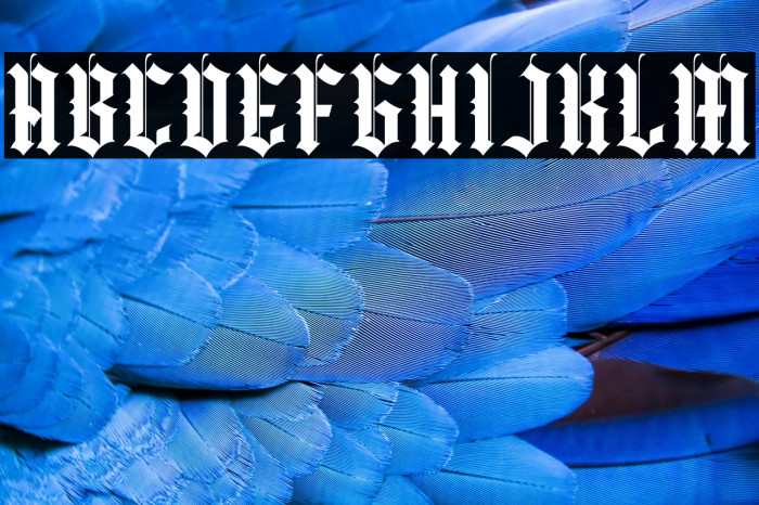 Yugitoy Regular Example 2