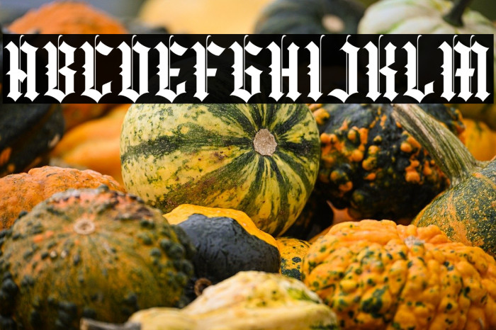 Yugitoy Regular Example 3