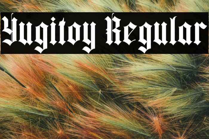 Yugitoy Regular Example 1