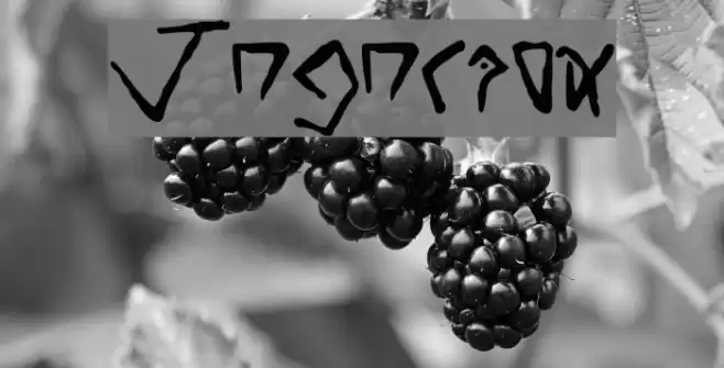 Yugurian Font examples