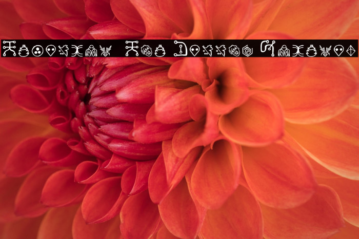 Yuiangel 111 You Cannot Regular Example 1