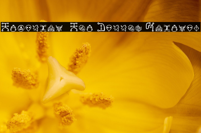 Yuiangel 111 You Cannot Regular Example 3