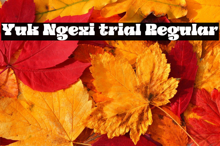 Yuk Ngexi trial Regular Example 1