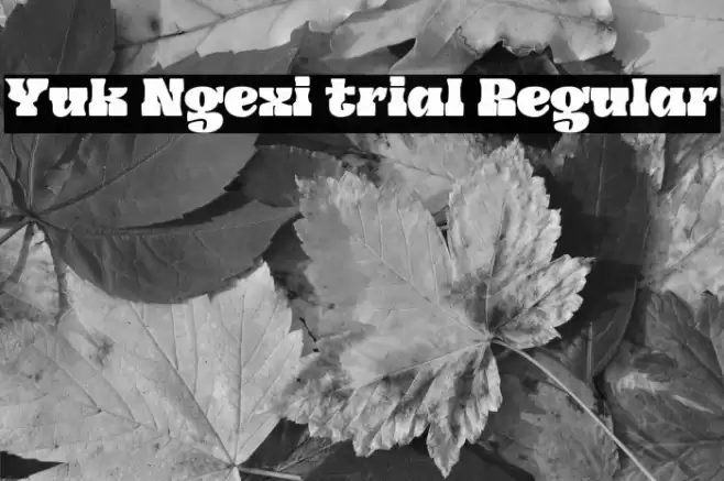 Yuk Ngexi trial Regular Caratteri examples
