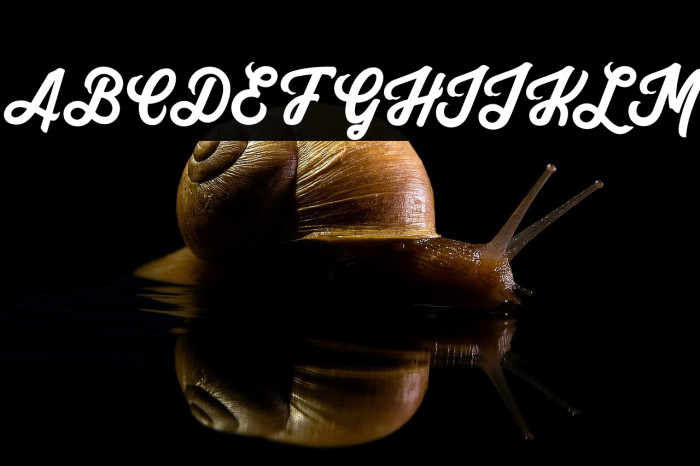 Yuko Regular Example 2