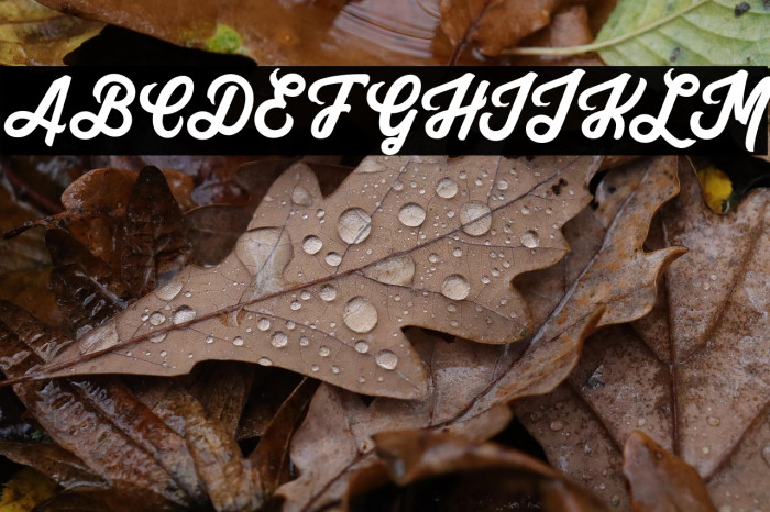 Yuko Regular Example 2