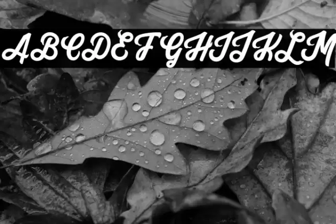 Yuko Regular Font examples