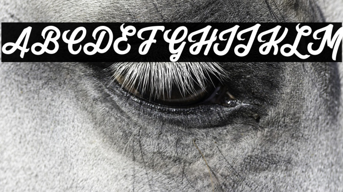 Yuko Regular Example 3