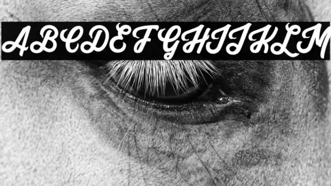 Yuko Regular Font examples