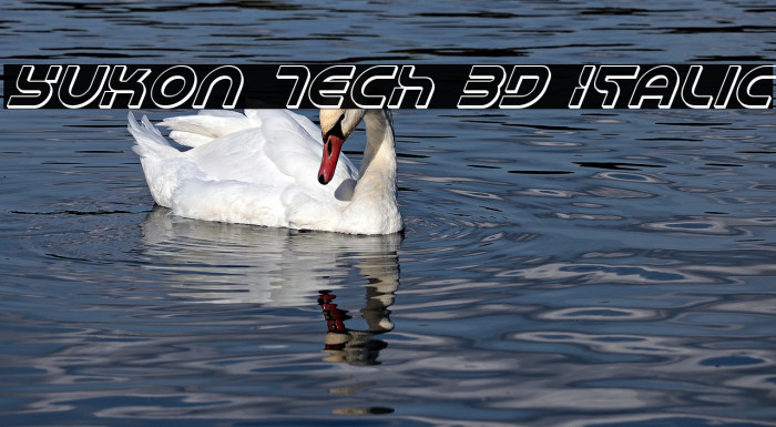 Yukon Tech 3D Italic Example 1