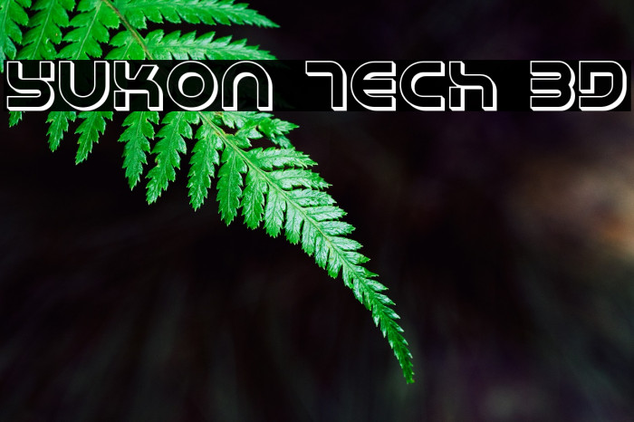Yukon Tech 3D Font examples