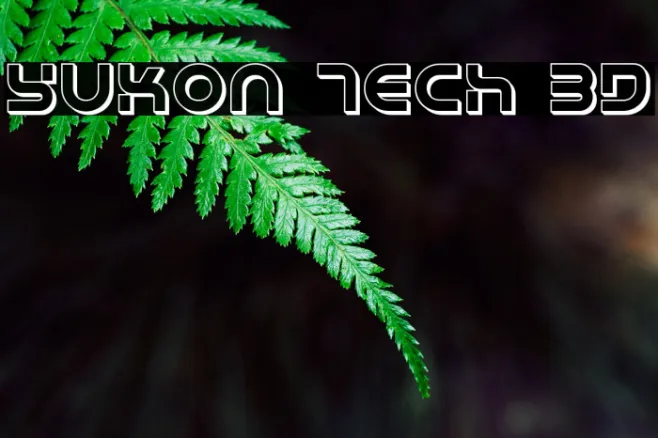 Yukon Tech 3D Example 2