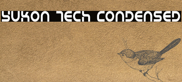 Yukon Tech Condensed Example 1