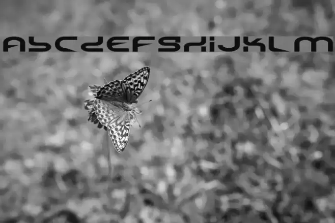 Yukon Tech Expanded Font examples