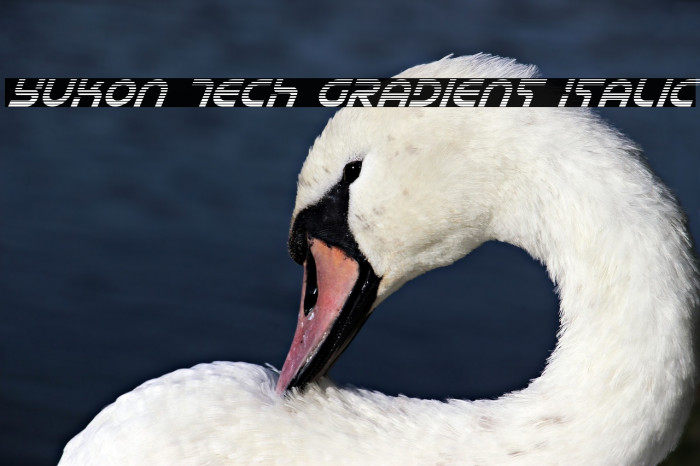 Yukon Tech Gradient Italic Example 1