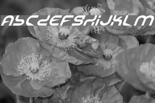 Yukon Tech Italic Шрифта examples