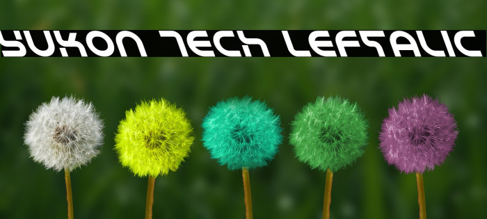 Yukon Tech Leftalic Font examples