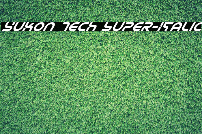 Yukon Tech Super-Italic Font examples