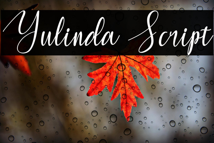 Yulinda Script Example 1