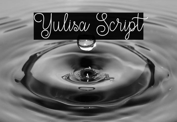 Yulisa Script Example 1