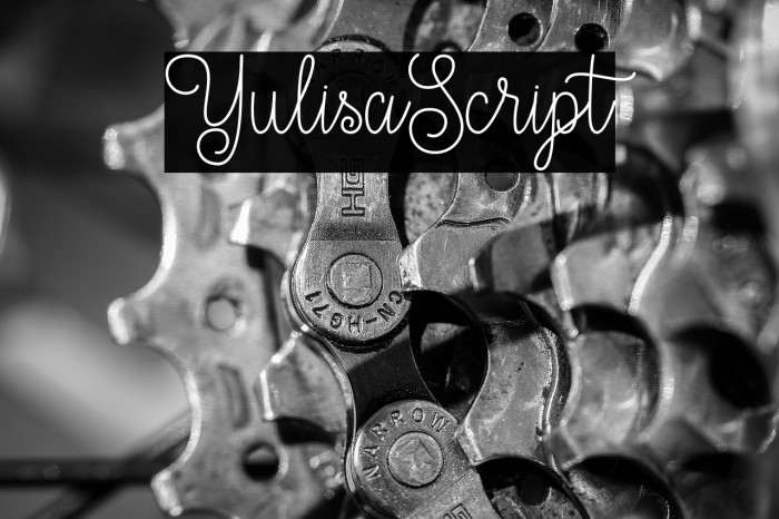 YulisaScript Example 1