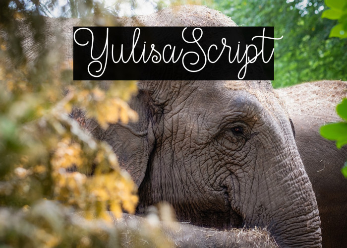 YulisaScript Example 2