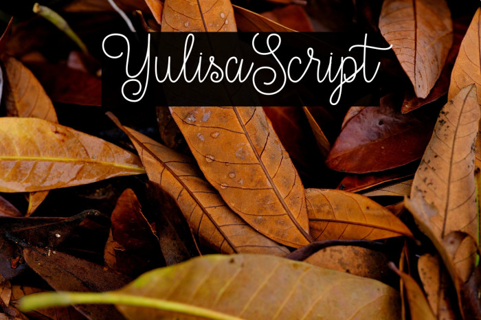 YulisaScript Example 3