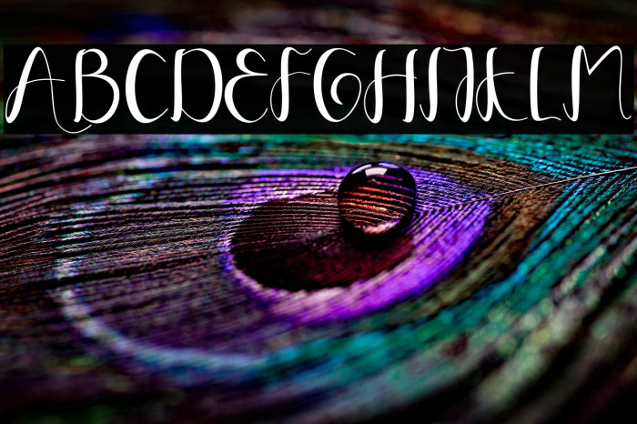 YullisaScript Example 1