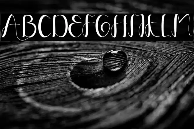 YullisaScript Font examples