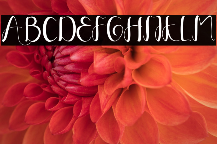 YullisaScript Example 3