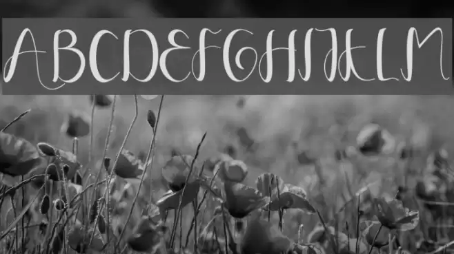 YullisaScript Font examples