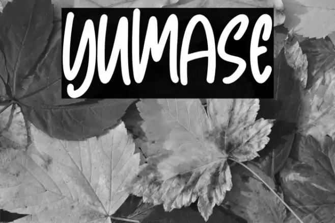 Yumase Font examples