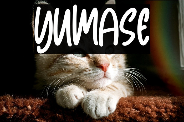 Yumase Example 3