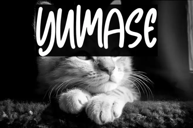 Yumase Font examples