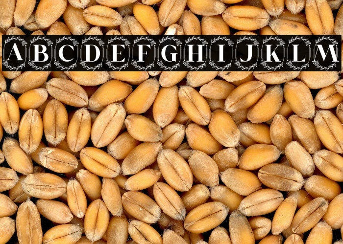 Yumeira Monogram Example 3