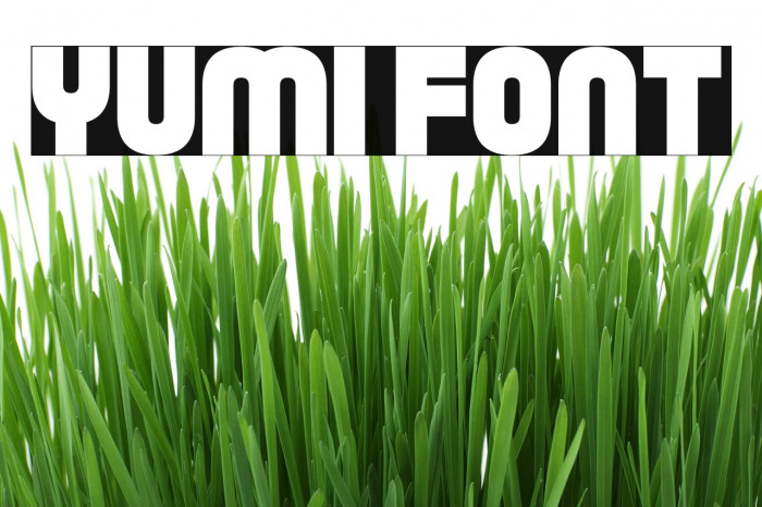 Yumi Font examples