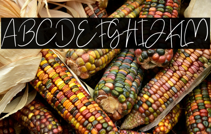 Yuminika Regular Example 3