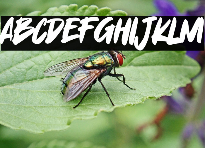 Yummi Lassi Example 1