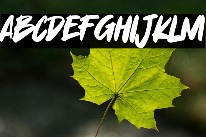 Yummi Lassi Example 2