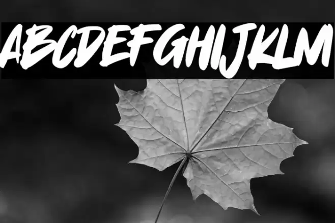 Yummi Lassi Font examples