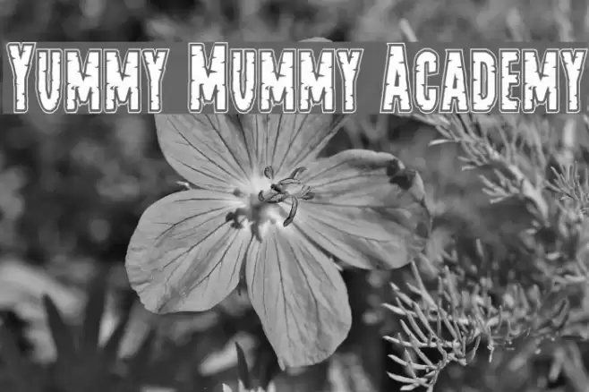 Yummy Mummy Academy Font examples
