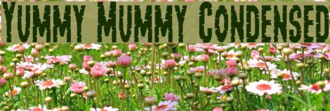 Yummy Mummy Condensed Example 1
