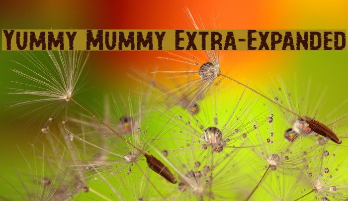 Yummy Mummy Extra-Expanded Font examples