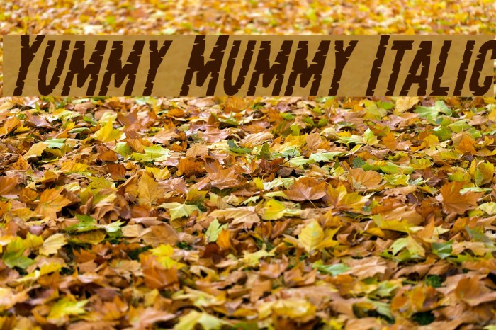 Yummy Mummy Italic Font examples