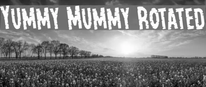 Yummy Mummy Rotated Font examples